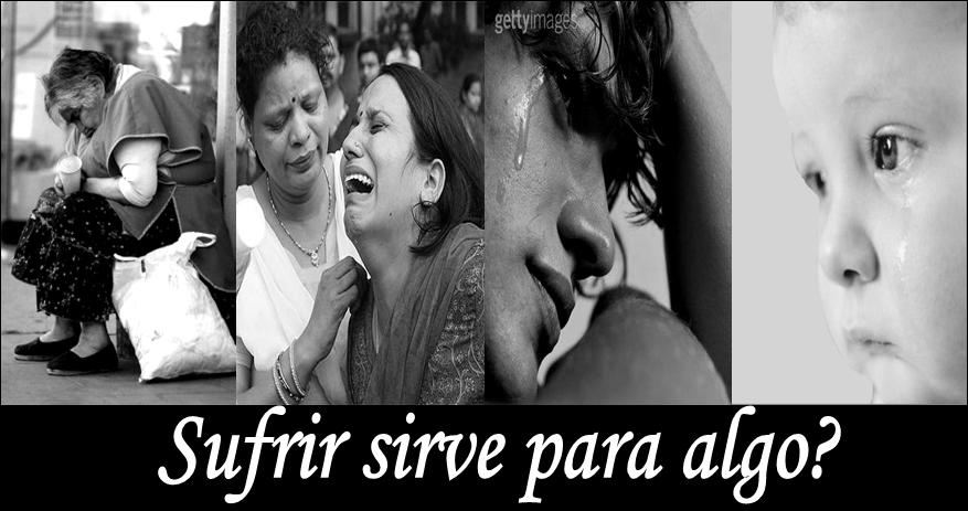 imagen1.jpg